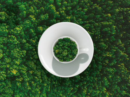 Ilgtspējīga kafija ar raksturu – illy Arabica Selection Brazīlija, Cerrado Mineiro