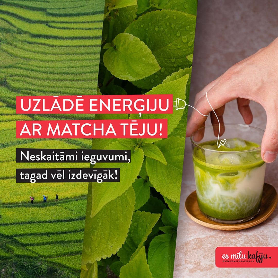 Matcha zaļā tēja