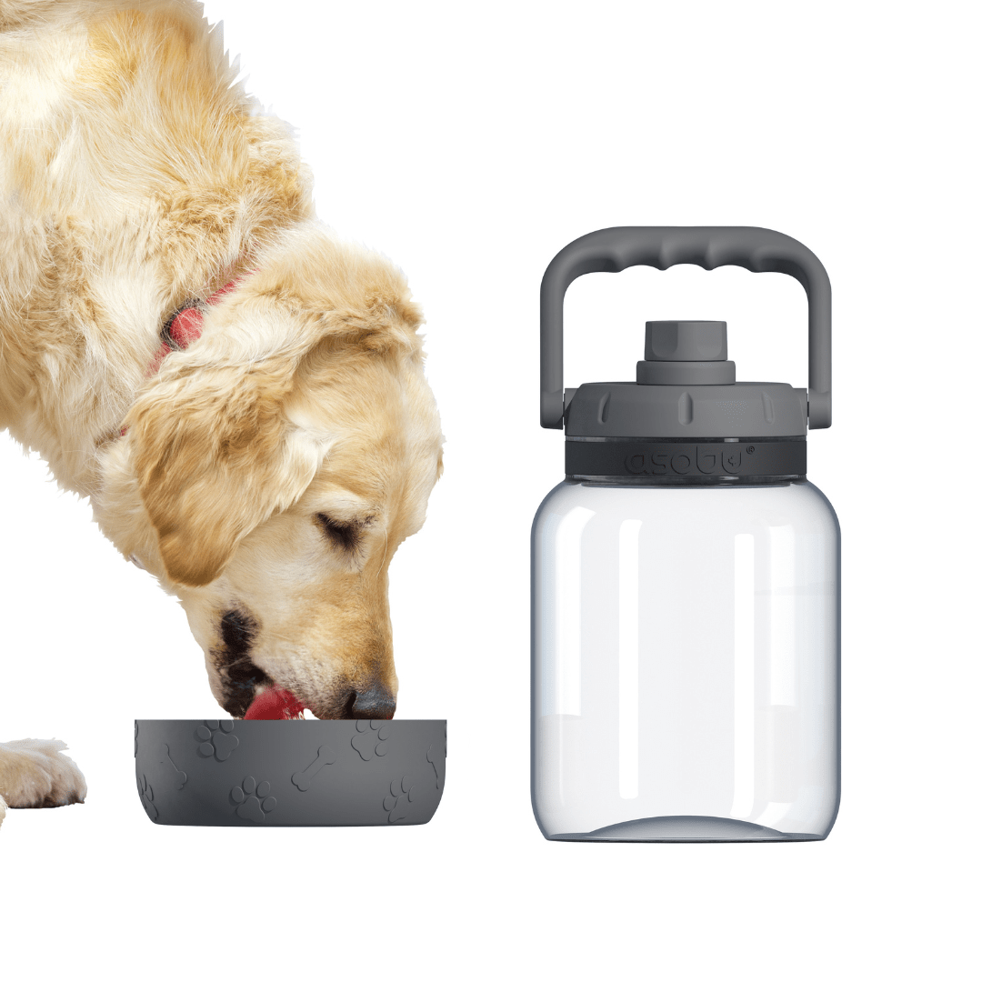 Asobu Trauki Ūdens pudele Asobu Barkley, 1L, TWB21 pelēka