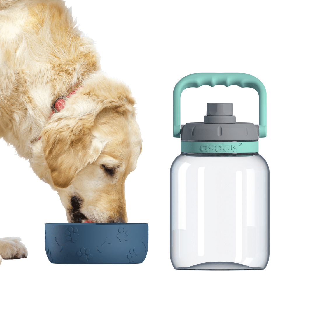 Asobu Trauki Ūdens pudele Asobu Barkley, 1L TWB21 zila