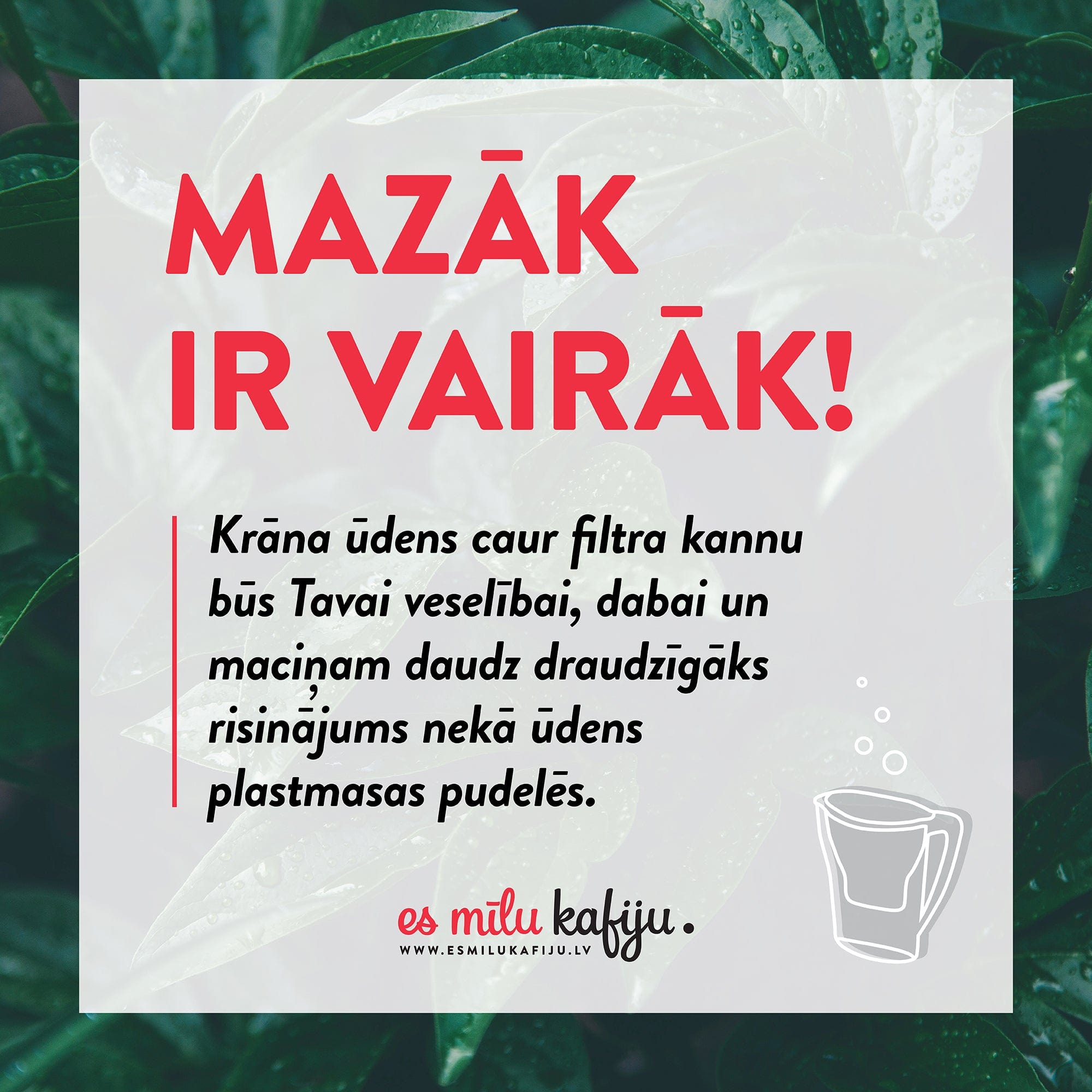 BWT Ūdens filtri Dzeramā ūdens filtra kanna VIDA BWT 2.6L, balta