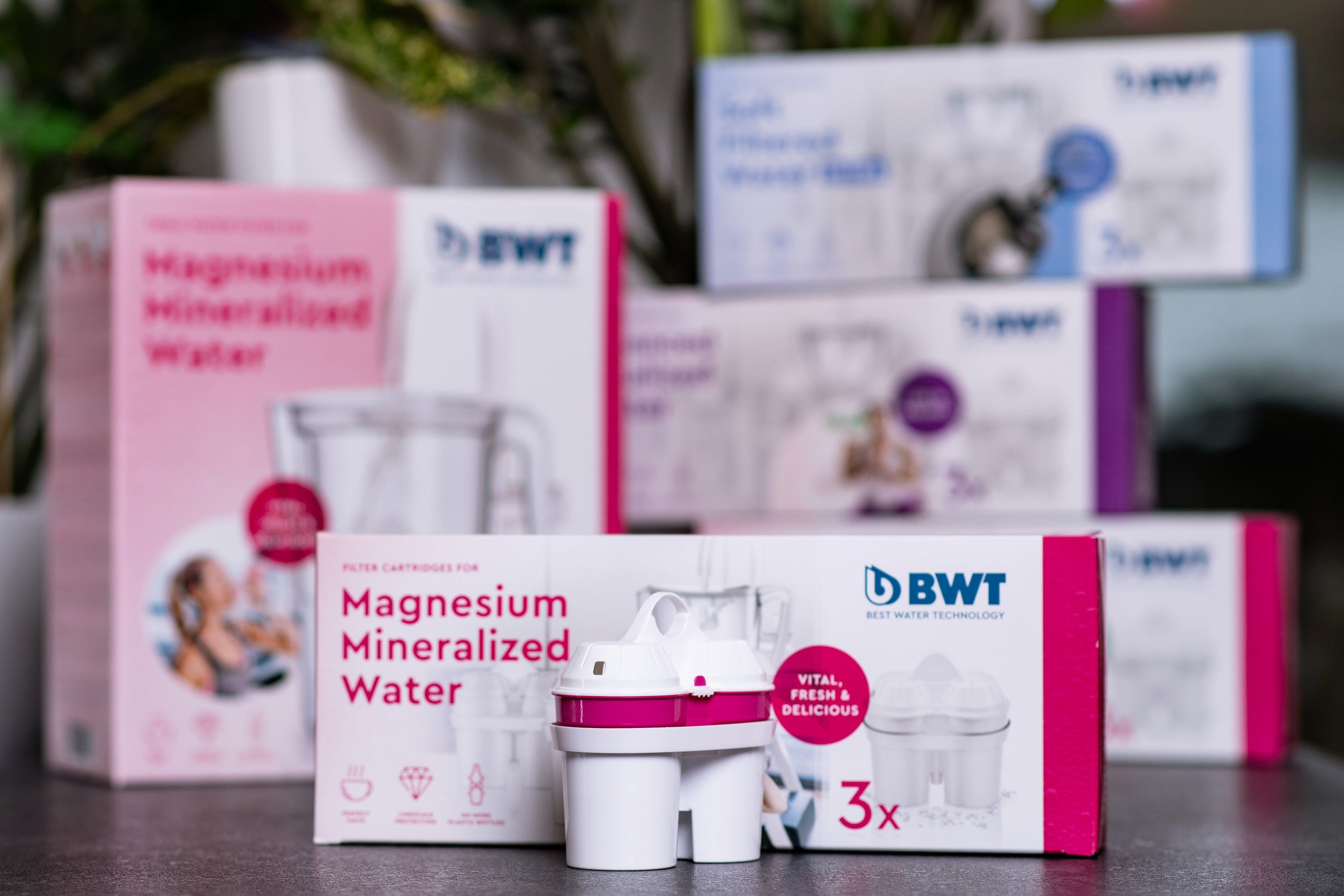 BWT Ūdens filtri Ūdens kannas filtrs ar magniju BWT, 1gb