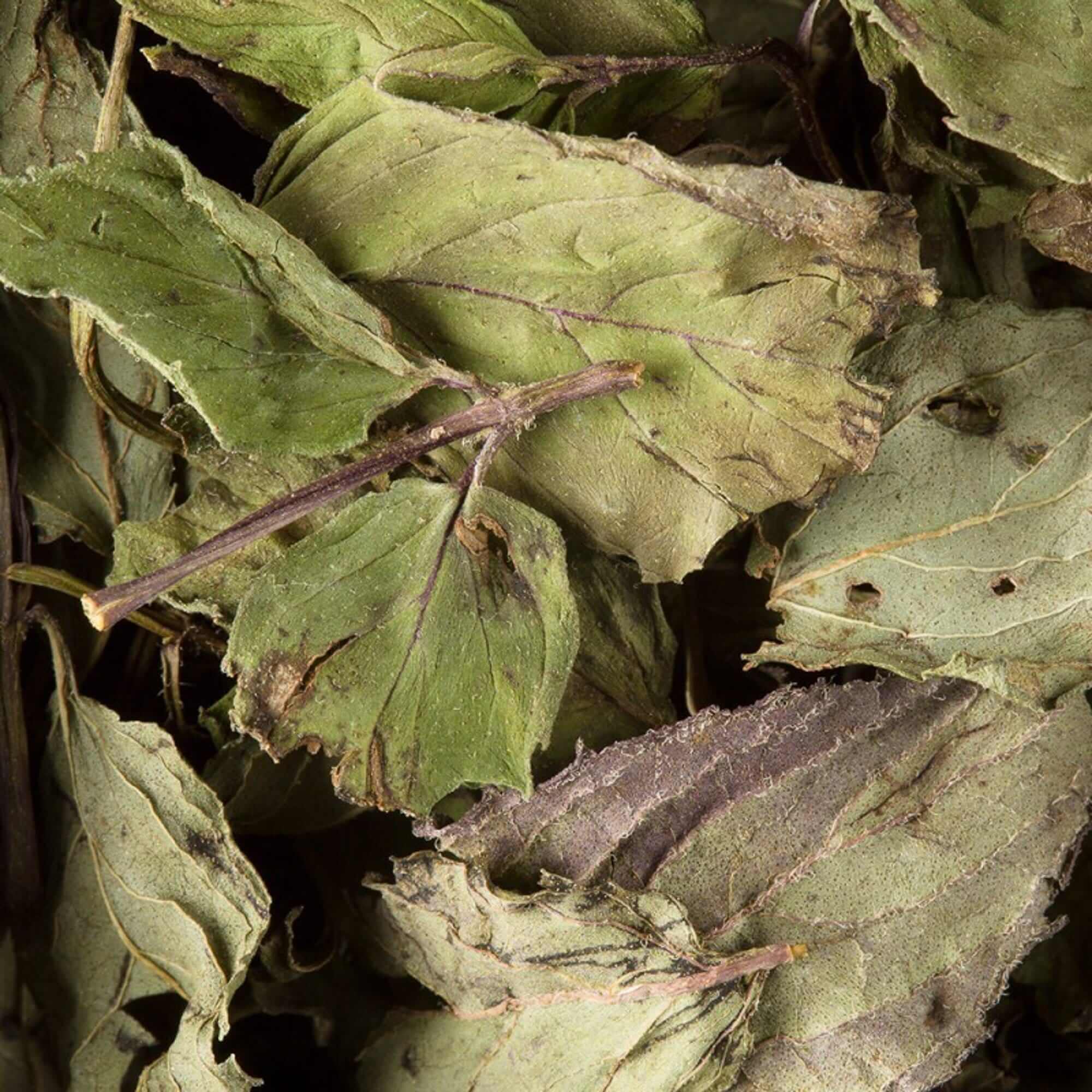 Dammann Beramā tēja Tēja beramā HOME 667 zaļā piparmētru aroma tēja 100g
