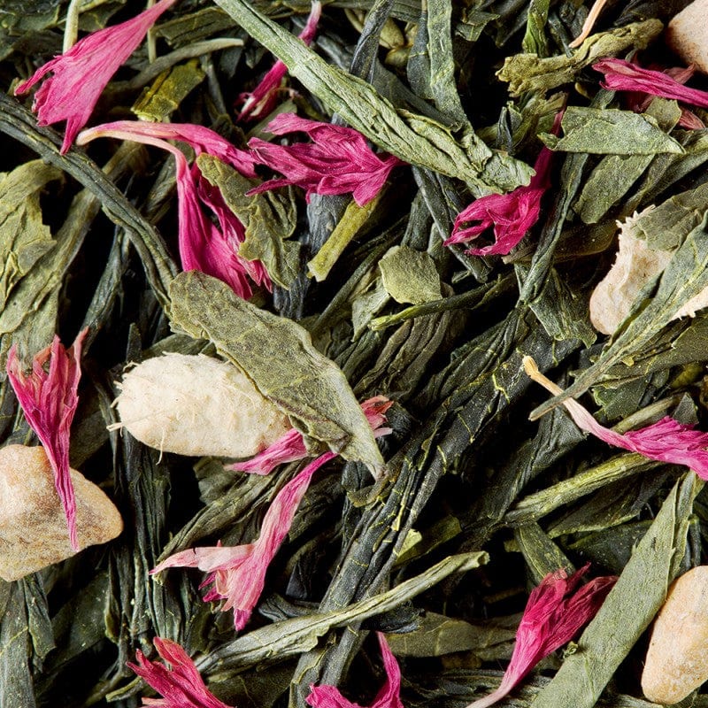 Dammann Tēja maisiņos HoReCa Miss Dammann zaļā tēja, 24gb