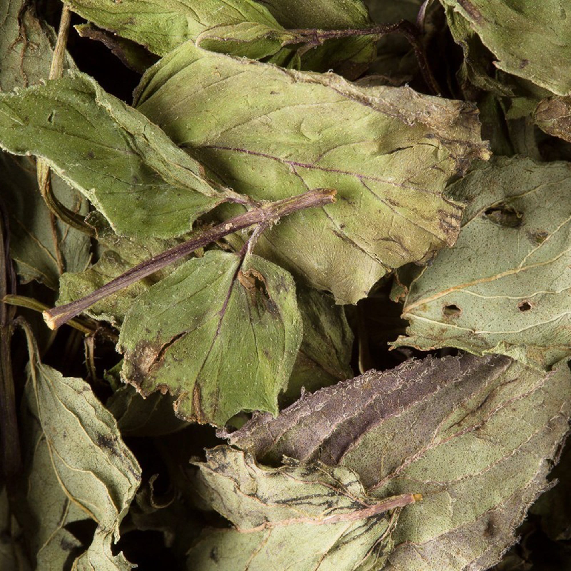 Dammann Tēja maisiņos HoReCa, zaļā piparmētru aroma tēja 24gb