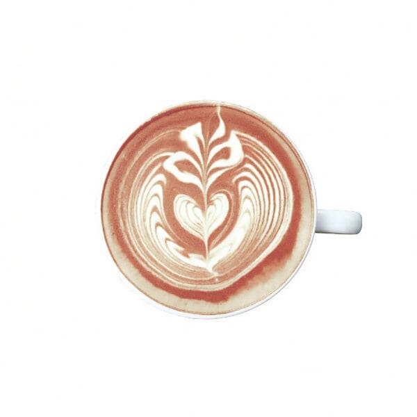 Fonte Cita kafija Fonte, Guarana Cacao Latte dzēriena maisījums, 250g