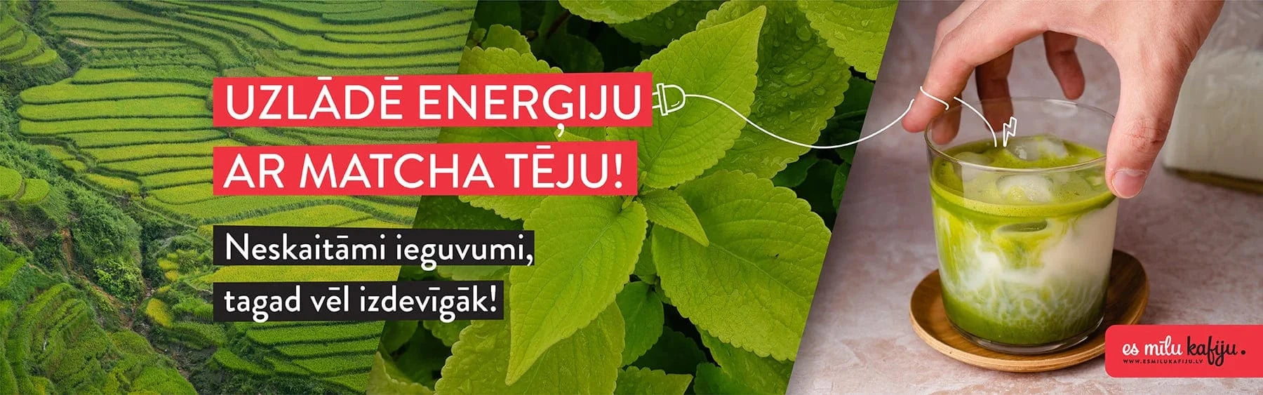Matcha zaļā tēja