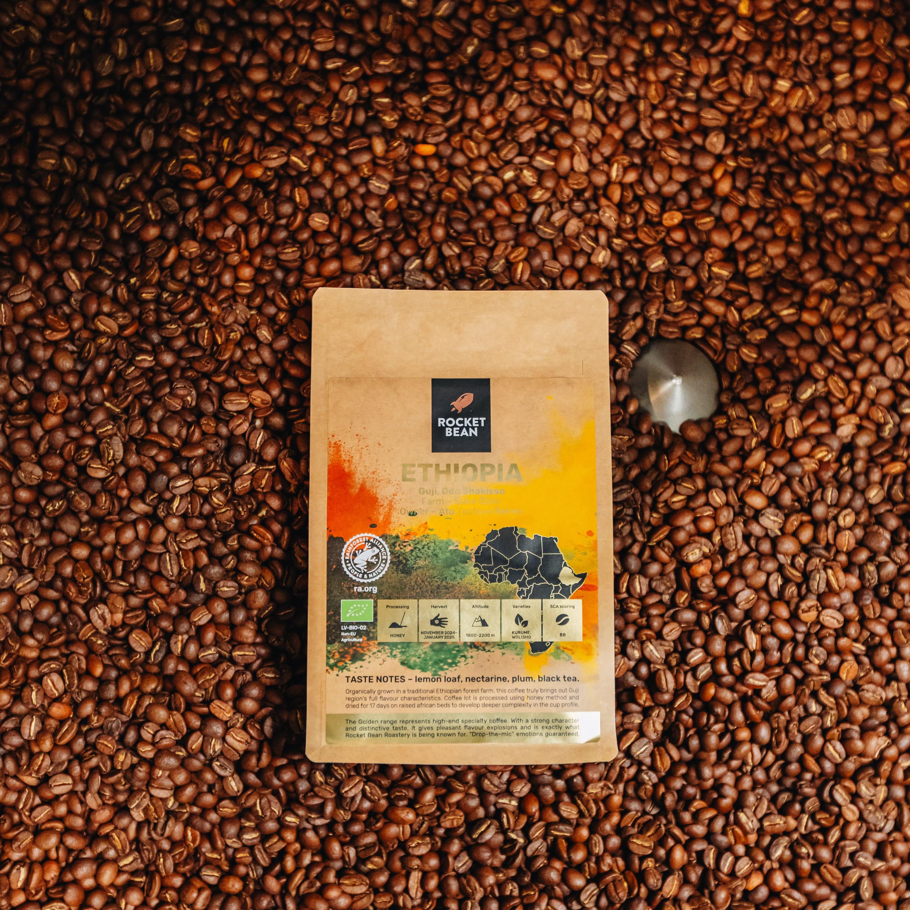 Rocket Bean Roastery Kafijas pupiņas Kafijas pupiņas RBR Ethiopia, Honey, Guji, Odo Shakisso, Organic, RFA, 200g