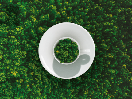 Ilgtspējīga kafija ar raksturu – illy Arabica Selection Brazīlija, Cerrado Mineiro