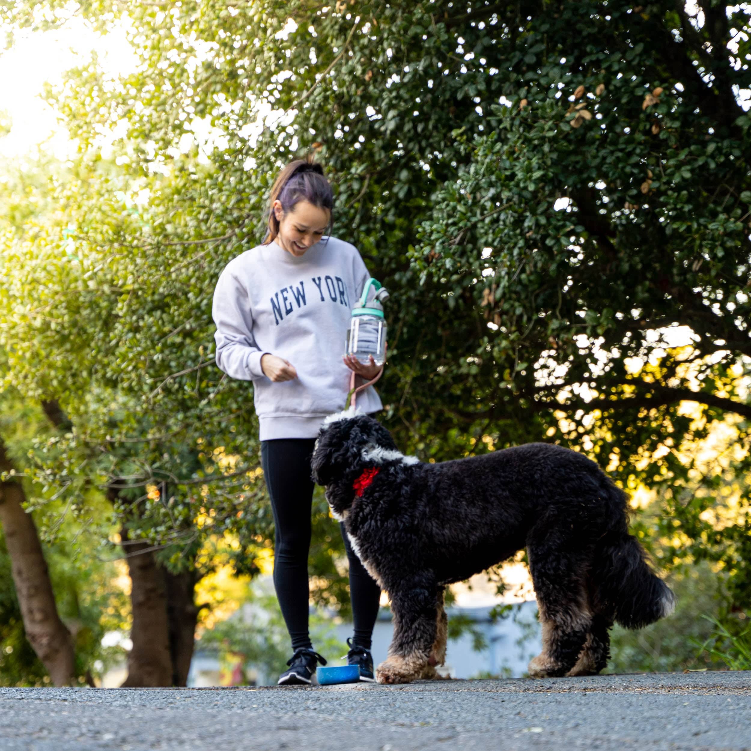 Asobu Trauki Ūdens pudele Asobu Barkley, 1L TWB21 sinepju-dzeltena